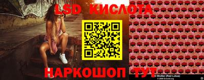 стаф Кунгур