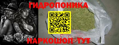 стаф Кунгур
