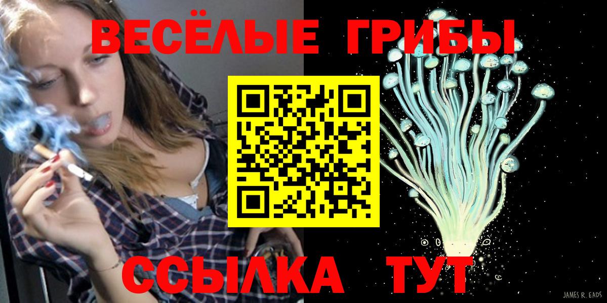Галлюциногенные грибы прущие грибы Кимовск